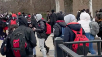 Crowd of Black students