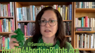 Sunsara Taylor, Kentucky Goddamn