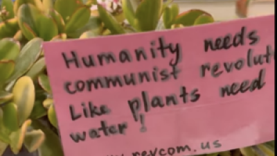 Plants with decorative revolutionary messages