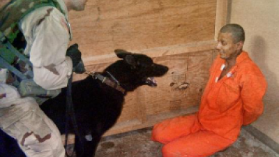Prisoner tortured with a dog at Abu Ghraib, Iraq, May 21, 2003.