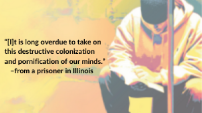 “[I]t is long overdue to take on this destructive colonization and pornification of our minds.” –from a prisoner in Illinois