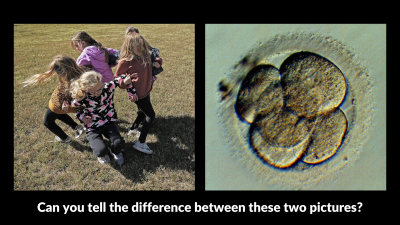 Can you tell the difference between these two pictures? Side by side images: children in a circle; a multi-celled human embryo