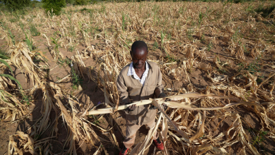 A farmer stands in his dried-up field amid a drought in Zimbabwe, March 22, 2024.