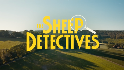 Screengrab from movie trailer “Sheep Detectives”