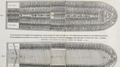 A slave ship showing typical arrangement of 292 slaves, 130 stowed under shelves (Figure 3).