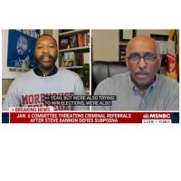 Democratic Party hack on MSNBC says We're also trying to win elections