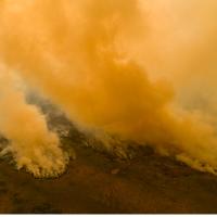 As the World Burns and Its Rulers Fiddle in Glasgow…  A CALL TO THOSE WHO WANT A RADICALLY DIFFERENT FUTURE FOR HUMANITY