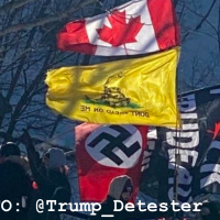 Canadian flag and Nazi flag