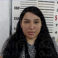 Mug shot of Lizelle Herrera, 26, arrested for aborting a fetus.