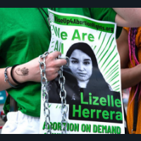 Protest sign: We are All Lizelle Herrera