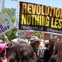 Revolution Nothing Less banner