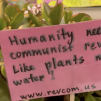 Plants with decorative revolutionary messages