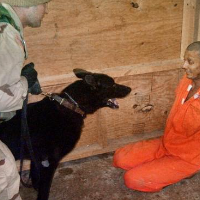 Prisoner tortured with a dog at Abu Ghraib, Iraq, May 21, 2003.