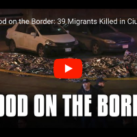 VIDEO: From The RNL—Revolution, Nothing Less!—Show.