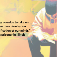 “[I]t is long overdue to take on this destructive colonization and pornification of our minds.” –from a prisoner in Illinois