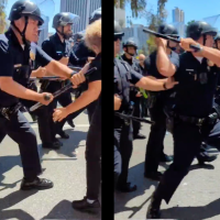 Screengrabs from video of the incident