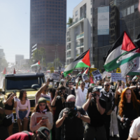 Huge crowd of pro-Palestinian marchers
