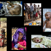 Afghanistan 2022, Angola 2002, Somalia 2022, Kenya 2022, U.S.—Mexico border 2023, Iraq 2004