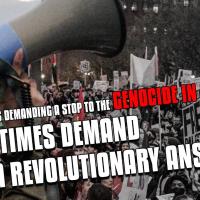 To the millions demanding a stop to the genocide in Gaza: these times demand a revolutionary answer