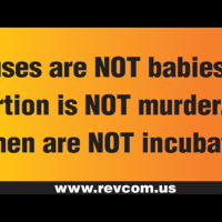 Fetuses are NOT babies! Abortion is NOT murder! Women are NOT incubators!