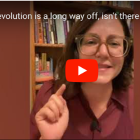 VIDEO: “Revolution is a long way off, isn’t there something meaningful I should do with my vote now?”