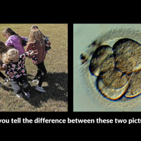 Can you tell the difference between these two pictures? Side by side images: children in a circle; a multi-celled human embryo