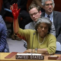 Shame on the U.S., the only nation to veto the UN resolution for a ceasefire in Gaza, February 20, 2024.