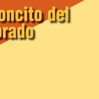 teaser readers' corner blank spanish