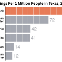 Graph by MappingPoliceViolence.org shows the racial breakdown of people murdered by police in Texas since 2013.