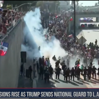 Protesters take over Los Angeles freeway, June 8, 2025.