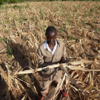 A farmer stands in his dried-up field amid a drought in Zimbabwe, March 22, 2024.