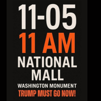11-05 11 AM National Mall Washington DC