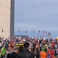 Crowds gather at the Washington Monument for Refuse Fascism November 5.
