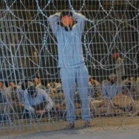 Blindfolded Palestinian prisoners at Sde Tieman prison, winter 2023.