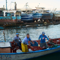 Fishermen arrive at port in Venezuela, September 15, 2025.