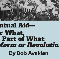 Mutual Aid—For What, As Part of What: Reform or Revolution?