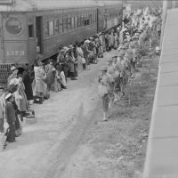 rounded-up-for-transport-1942.jpg