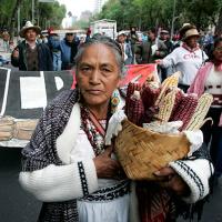Mexico-protest-2008-AP_080102023845.jpg