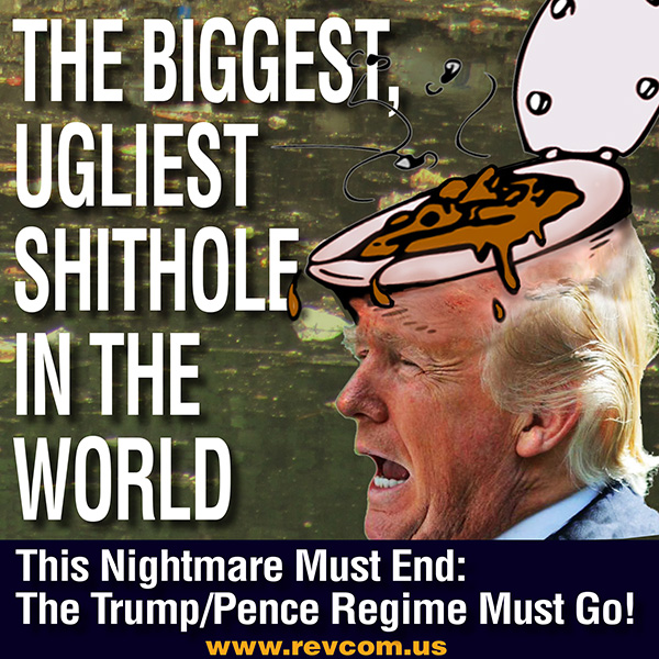 Trump Shithole Brain Meme